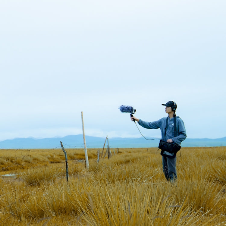 Deity V-Mic D3 Pro Directional Condenser Shotgun Microphone with Shock Mount