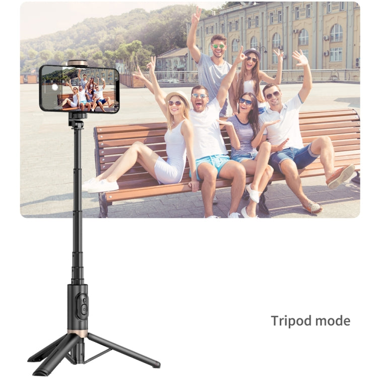 Q12 Hidden Design Reinforced Bluetooth Remote Control Tripod Selfie Stick, Q12 (Black)