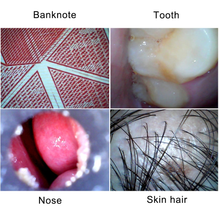 0.3 Million USB Digital Microscope with 6 LEDs, Lens Diameter: 4.9mm