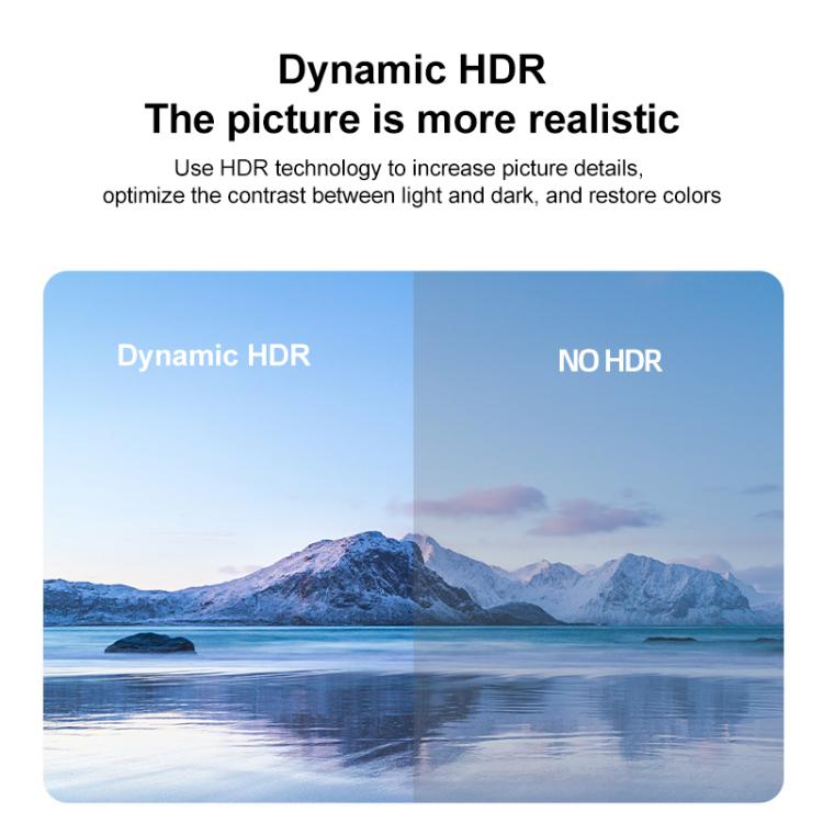 FJGEAR FJ-8K201DP 8K 60Hz DP One-way Switch