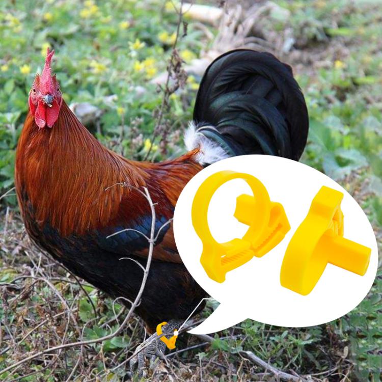 Animal Poultry Foot Ring with TK4100 Chip RFID LF Animal Cable Tie Labels