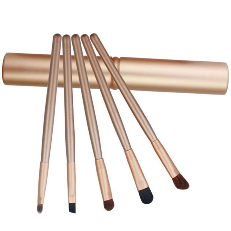 5 PCS Handle Eyes Makeup Brush Set with Aluminum Tube