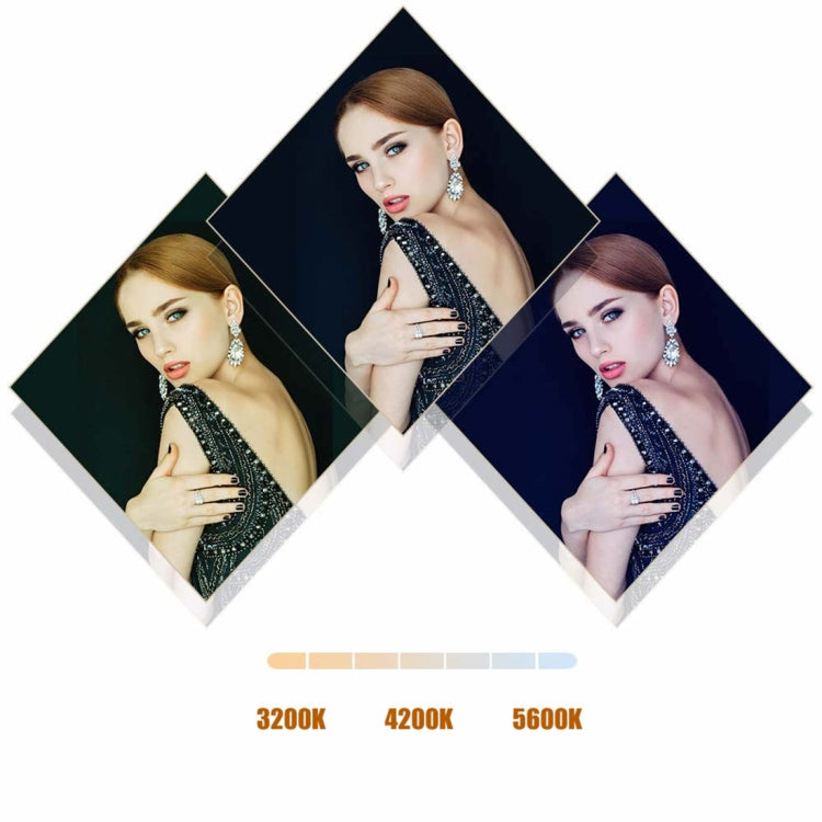 MANTOO RL-18 II 100-240V 55W 18 inch Two-color Dimmable Ring Fill Light with Tripod