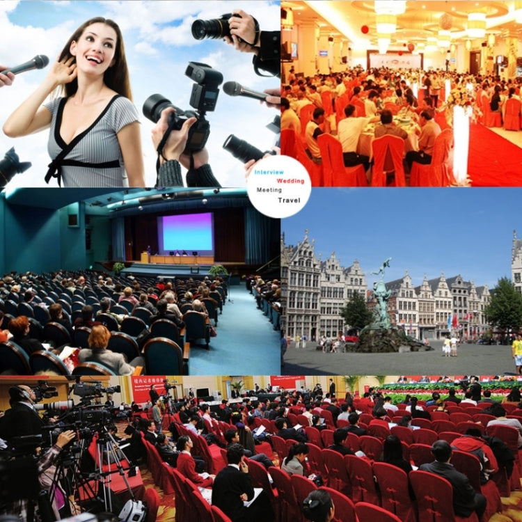 DEBO YS-8 Professional Photography Interview Dedicated Microphone for DSLR & DV Camcorder