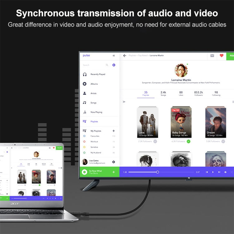 DisplayPort Male to HDMI Female Video Adapter