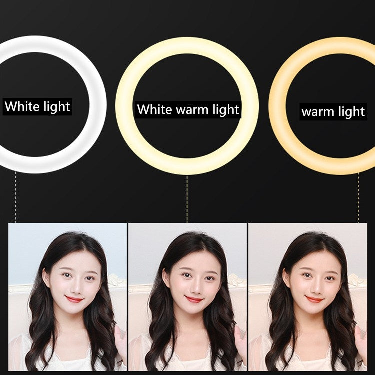 HQ-21N 21 inch 52.5cm LED Ring Vlogging Photography Video Lights Kits with Remote Control & Phone Clamp & 2.1m Tripod Mount, EU Plug