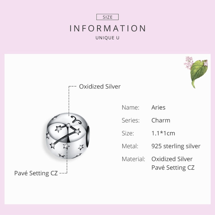 S925 Sterling Silver Twelve Constellation Beaded DIY Bracelet Accessories Jewelry Silver Beads