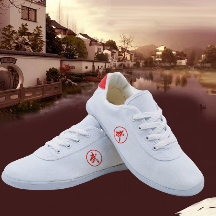 Tai Chi Martial Arts Taekwondo Performance Shoes Tendon Sole Sneakers