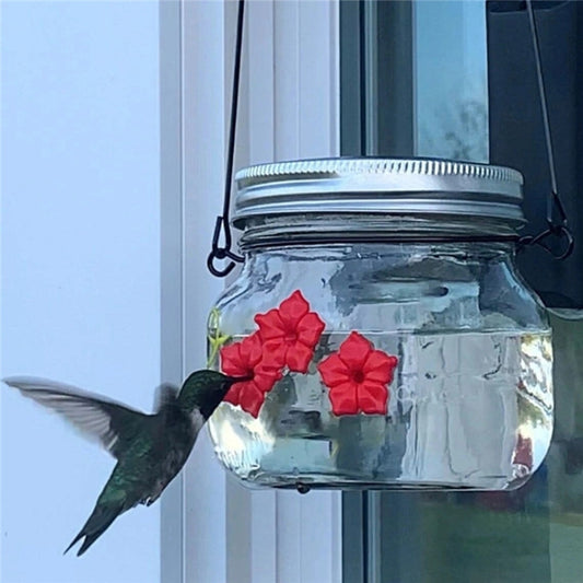 Hanging Bird Feeder Outdoor Hummingbird Feeder, Jar, Bulb