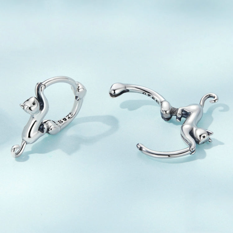 Sterling Silver S925 Diamond Stretch Cat Stretch Earrings, Size: