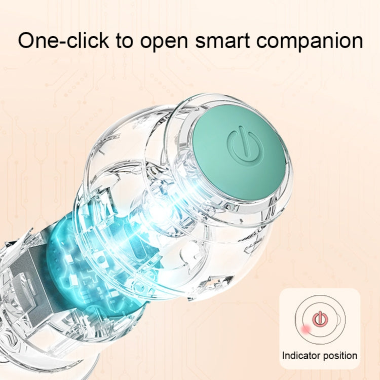 0001 Smart Gravity Teaser Cat Rolling Ball Teeth Resistant Cat Toys, Roller Pink, Roller Blue