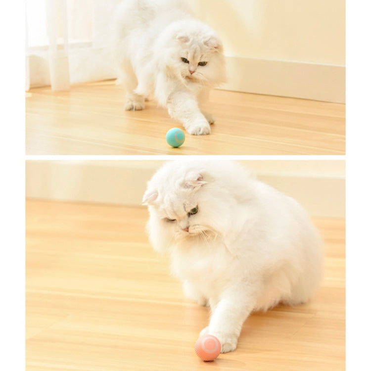 0001 Smart Gravity Teaser Cat Rolling Ball Teeth Resistant Cat Toys, Roller Pink, Roller Blue