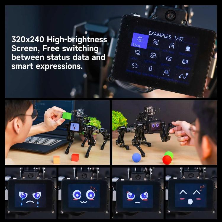 YAHBOOM DOGZILLA-Lite AI-Powered Bionic Robotic Dog 15-DOF Desktop Companion With Robotic Arm, Raspberry Pi Controlled, Multimodal AI & Visual Interaction