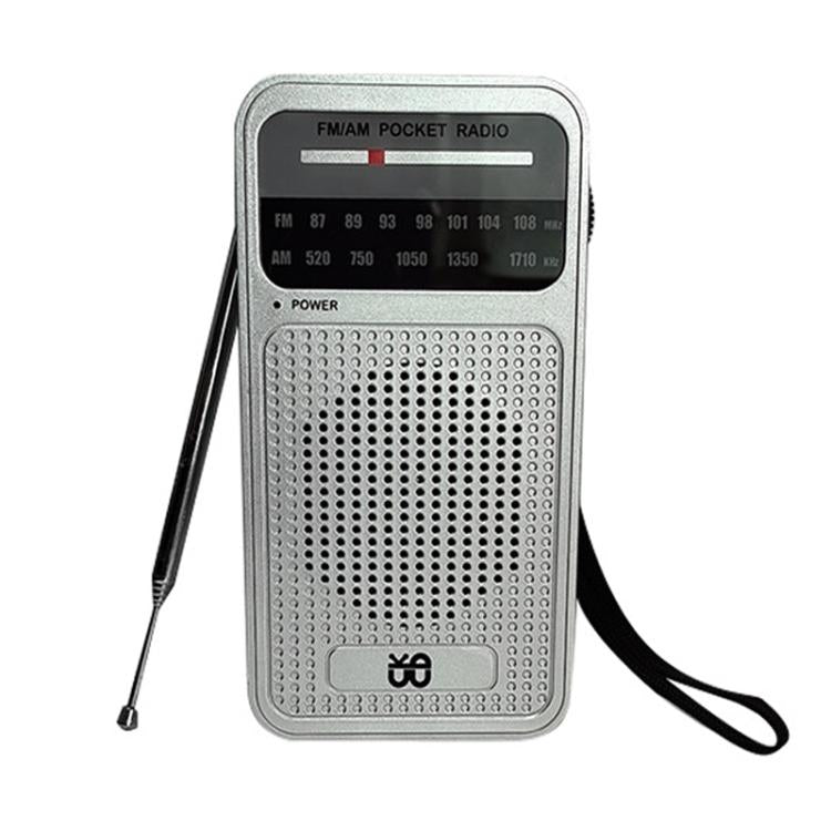 Portable Pointer AM/FM Full Channel Radio