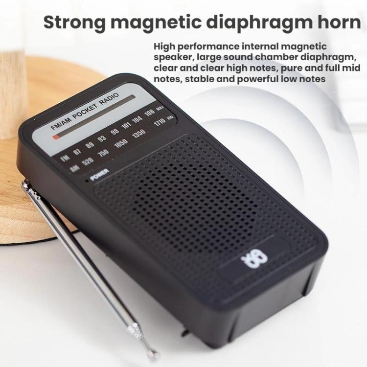 Portable Pointer AM/FM Full Channel Radio