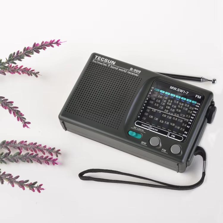 TECSUN R-909 AM FM SW 9-Band Pocket Mini Portable Radio, R-909